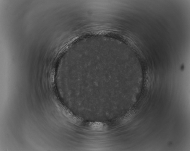 X0000116120230200912141053