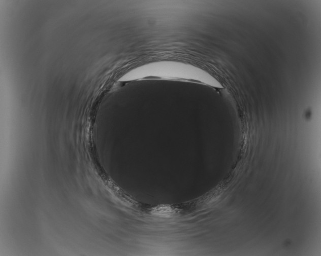 X0000116120231200912141053