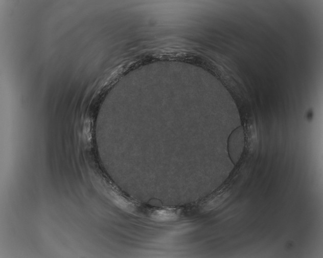 X0000116120232200912141053