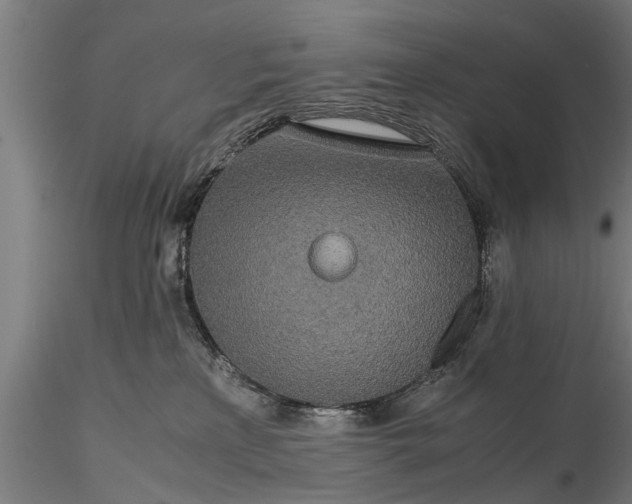 X0000116120233200912141053