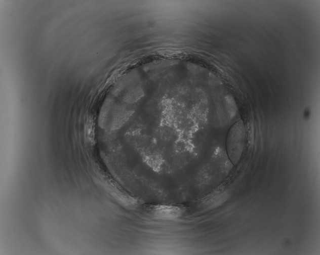 X0000116120234200912141052