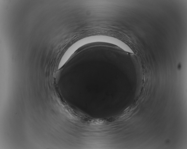 X0000116120235200912141052