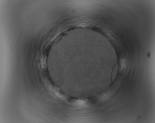 X0000116120236200912141052