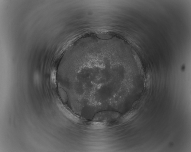 X0000116120238200912141052