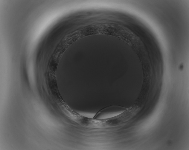 X0000116120239200912141052