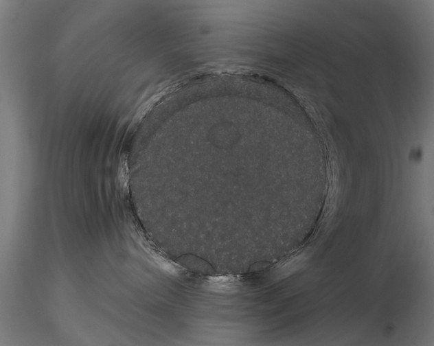 X0000116120240200912141052
