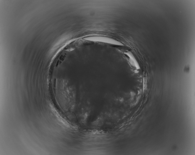 X0000116120243200912141052