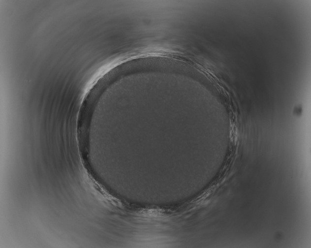 X0000116120244200912141052