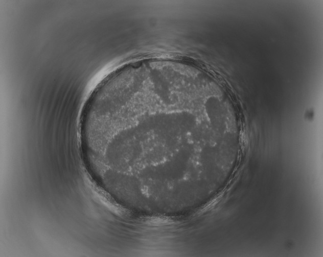 X0000116120246200912141052