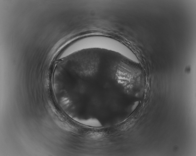 X0000116120247200912141052