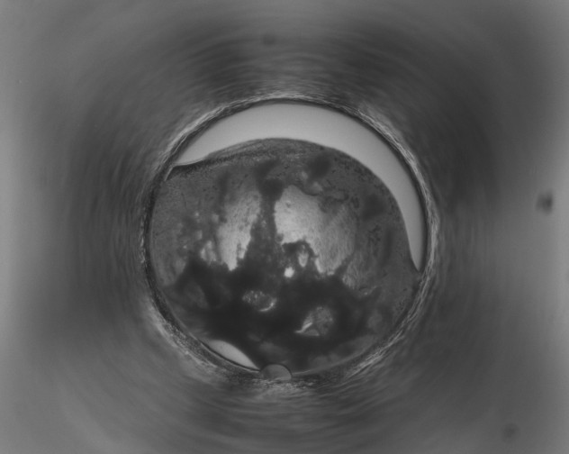 X0000116120249200912141052