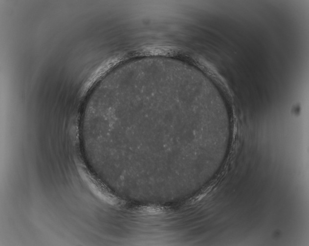 X0000116120250200912141052