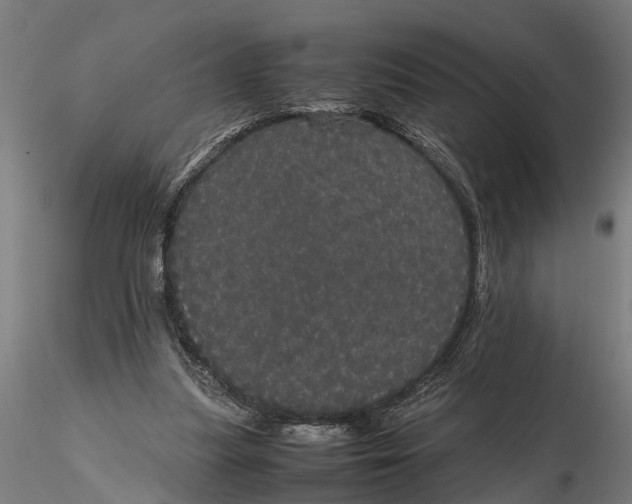 X0000116120251200912141052