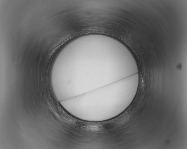 X0000116120254200912141052