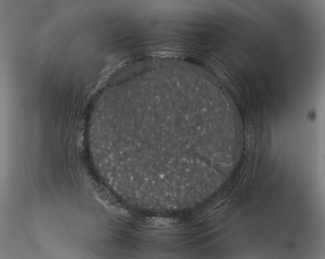 X0000116120255200912141052