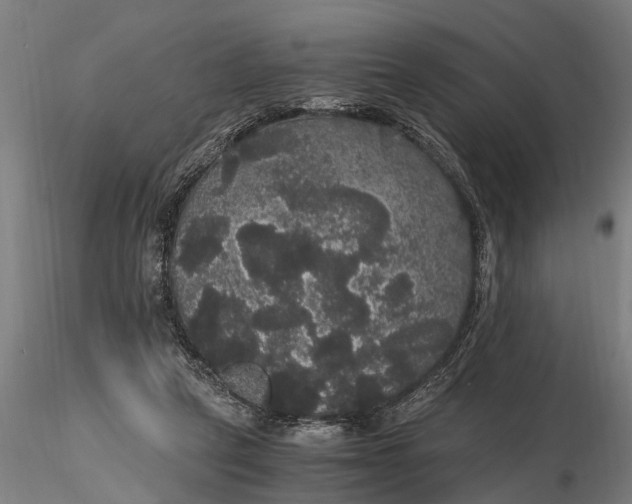 X0000116120257200912141052