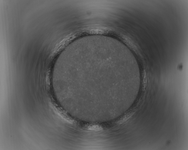 X0000116120258200912141052