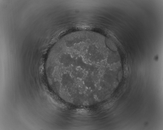 X0000116120259200912141052