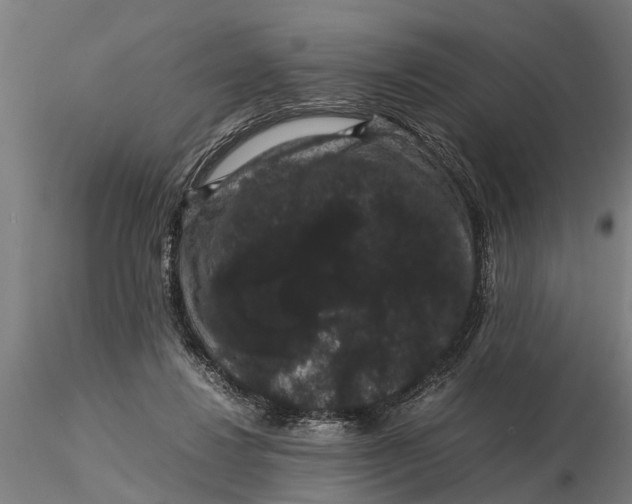 X0000116120260200912141052