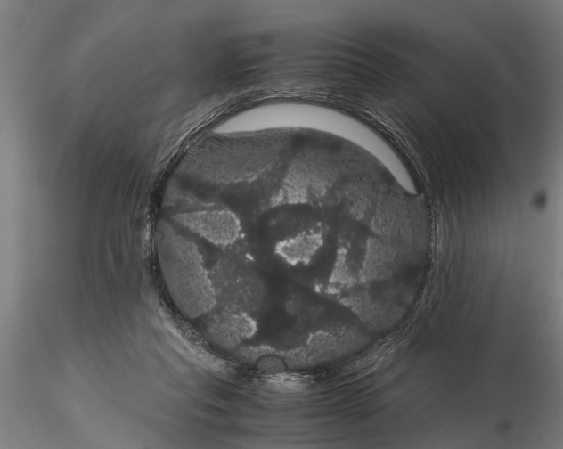 X0000116120261200912141052