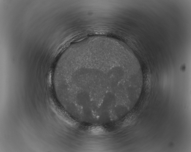 X0000116120262200912141052