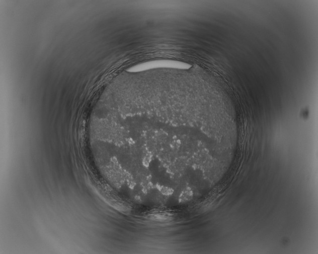X0000116120263200912141052
