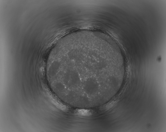 X0000116120265200912141052