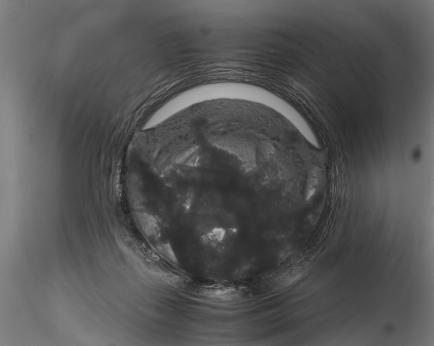 X0000116120267200912141052