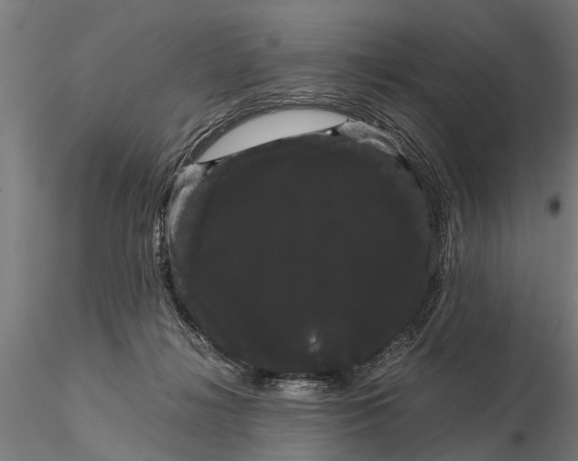 X0000116120268200912141052