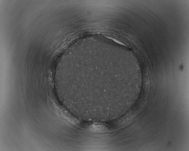 X0000116120270200912141052
