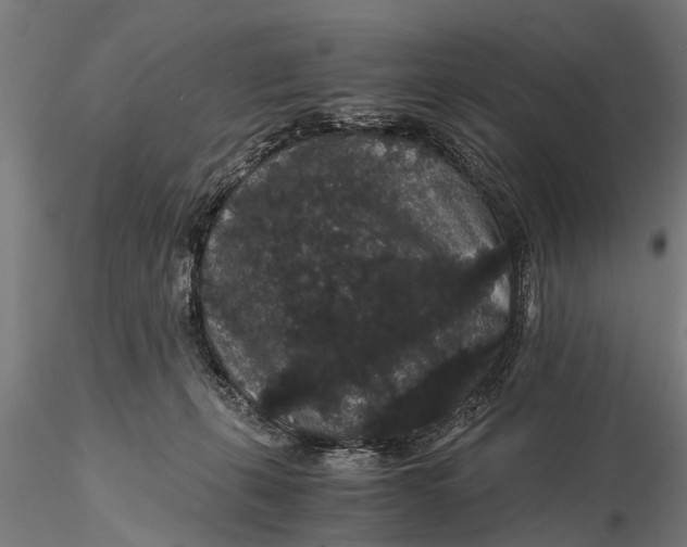 X0000116120271200912141052