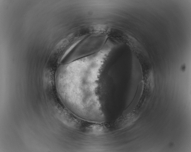 X0000116120272200912141052