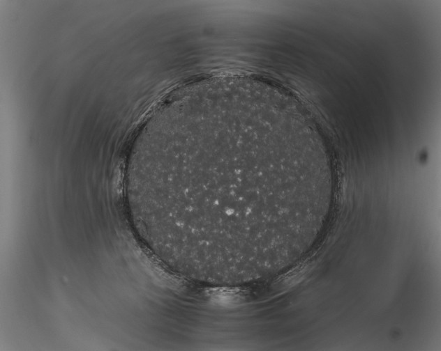X0000116120273200912141052