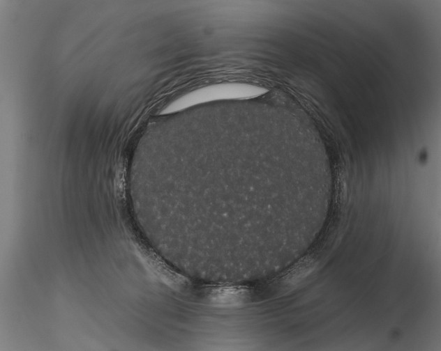 X0000116120274200912141052