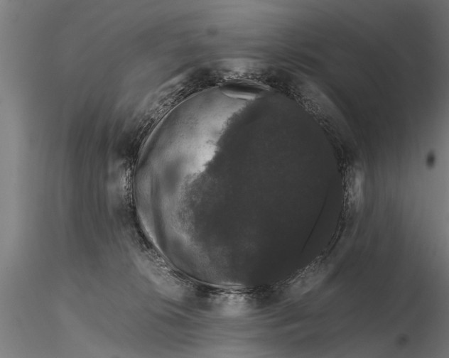 X0000116120276200912141052