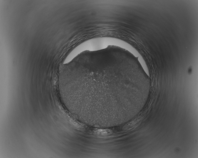 X0000116120277200912141052