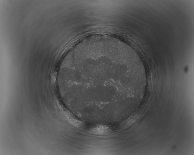 X0000116120278200912141052