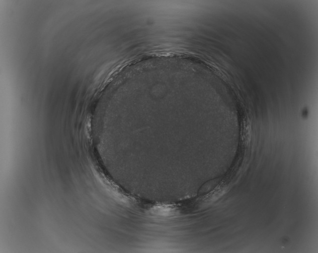 X0000116120280200912141052
