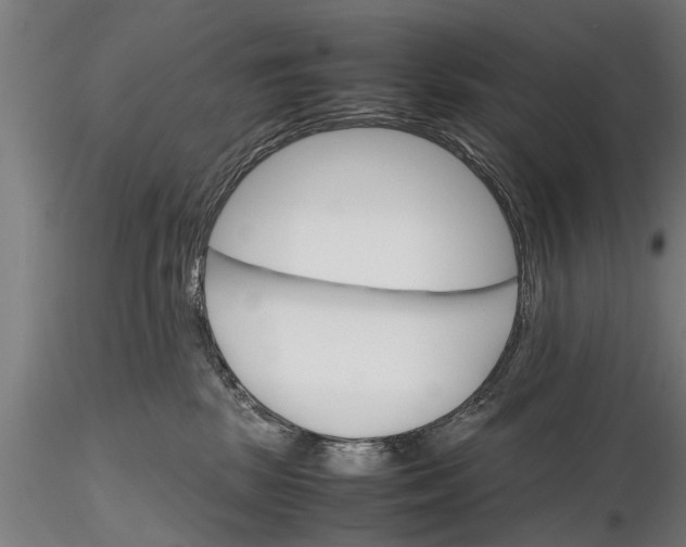 X0000116120281200912141052