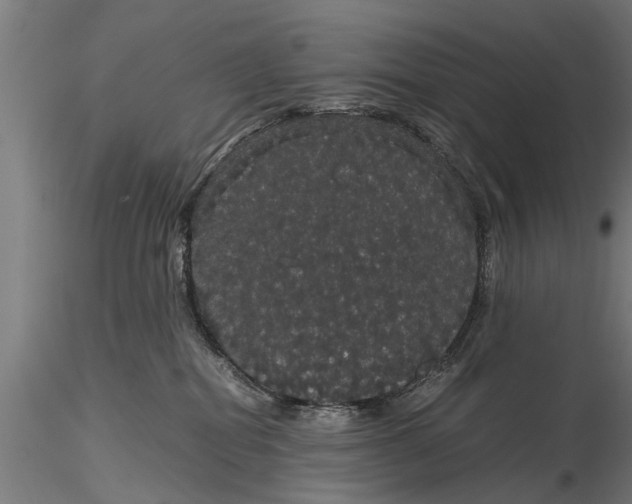 X0000116120282200912141052