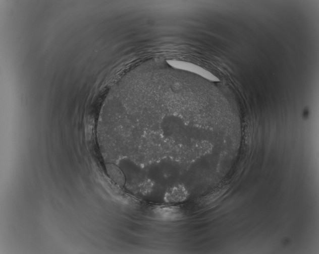 X0000116120283200912141052
