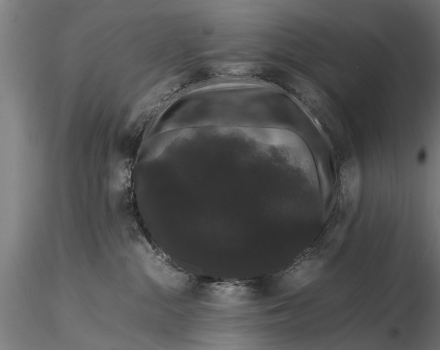 X0000116120284200912141052