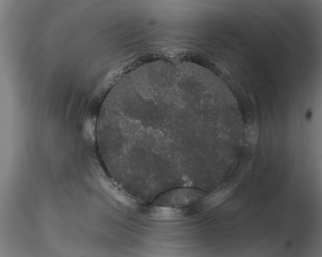 X0000116120286200912141052