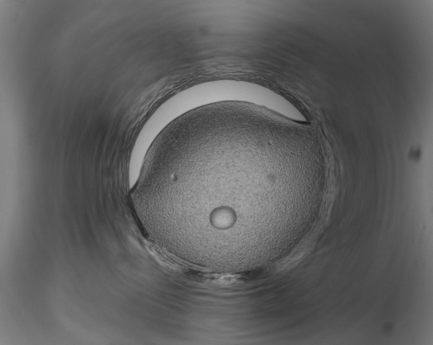 X0000116120288200912141052