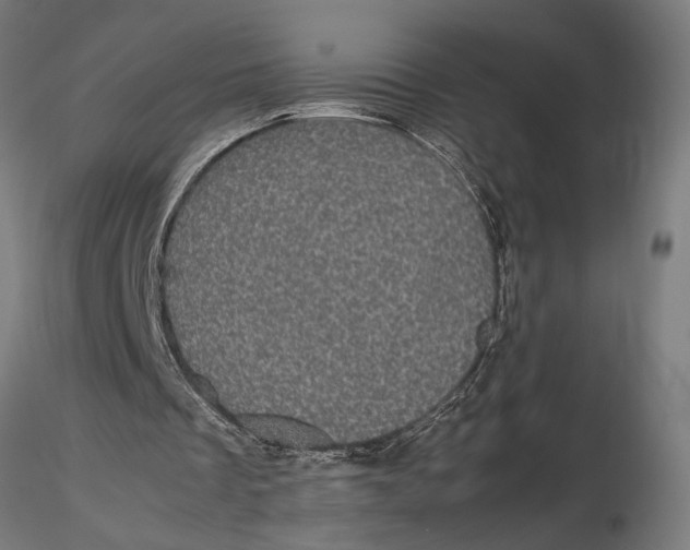 X0000116120289200912141052