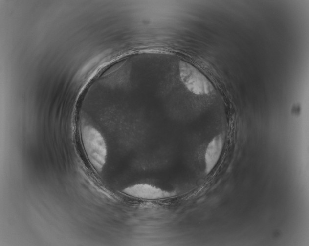 X0000116120290200912141052