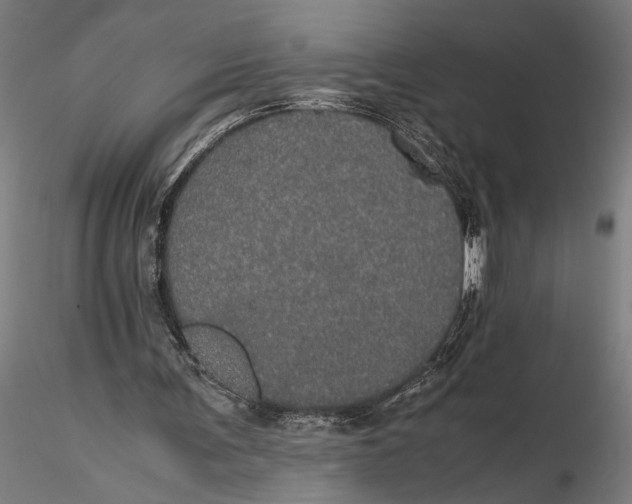 X0000116120291200912141052