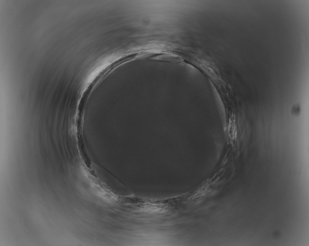 X0000116120292200912141052