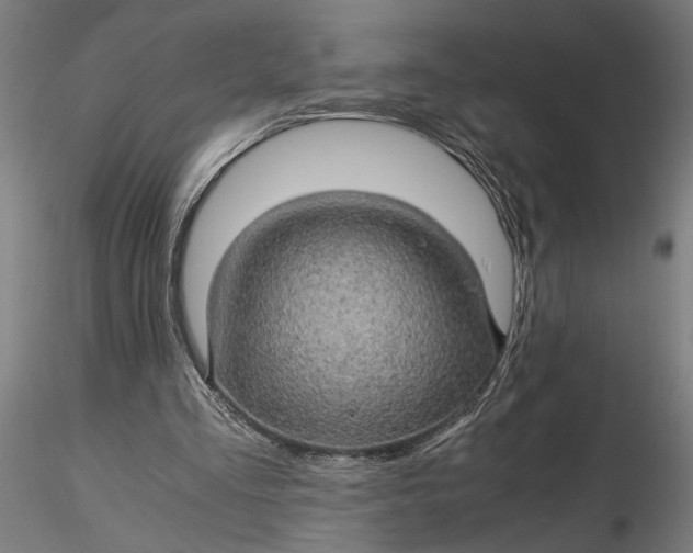 X0000116120293200912141052
