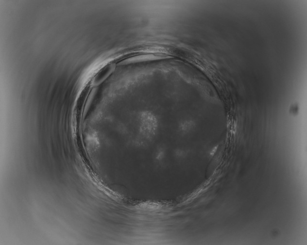 X0000116120294200912141052
